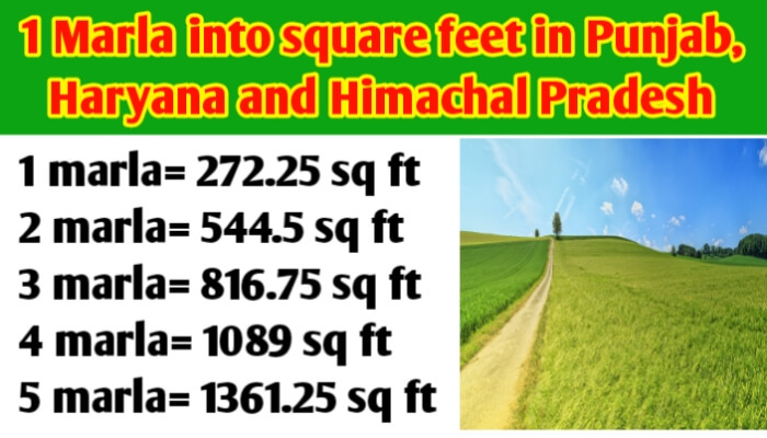 1 Marla into square feet in Punjab, Haryana, Himachal Pradesh