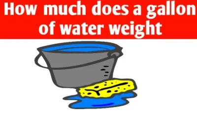 How much does a gallon of water weight