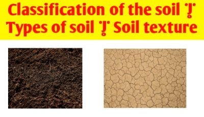 Classification of the soil | Types of soil | Soil texture